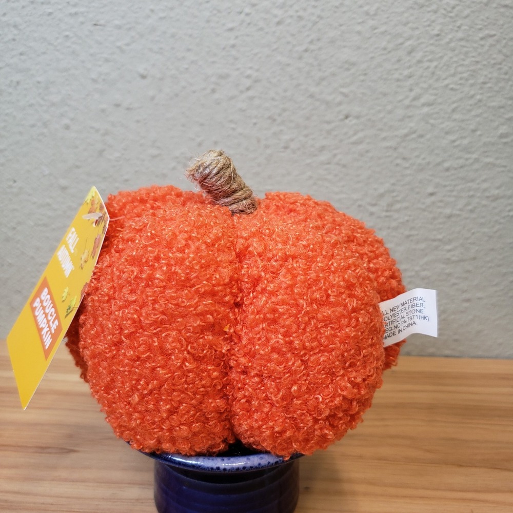 Fall Autumn Boucle Pumpkin Decor Orange Halloween Thanksgiving Cute Decorative